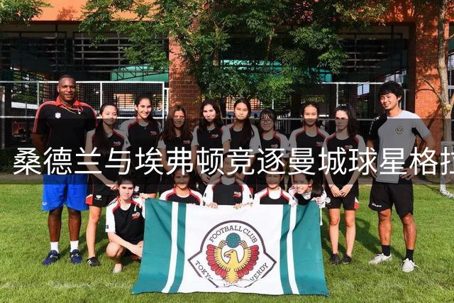 桑德兰与埃弗顿竞逐曼城球星格拉利什