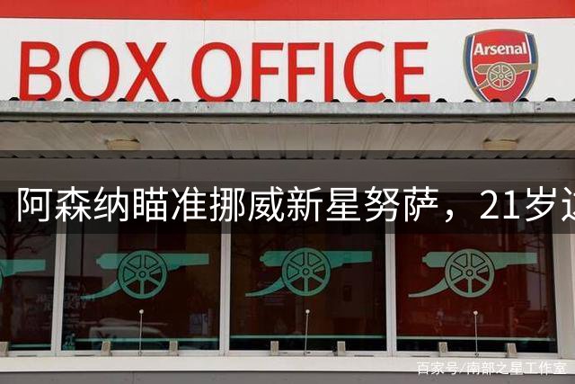 阿森纳瞄准挪威新星努萨，21岁边锋成枪手锋线补强新选择